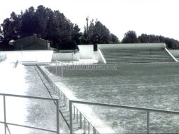 Mula Antigua serie-2